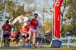 BIB: 
                            <button type="button" onclick="openModal(26189315)" class="btn btn-primary btn-sm float-right btn-popup" data-toggle="modal" data-target=".modal-high-quality">
                        <i class="fas fa-shopping-cart"></i> Add to Cart
                    </button>
                                            <button type="button" onclick="isThisMe(26189315, true)" class="btn btn-success btn-sm float-right btn-popup btn-isme hidden" data-toggle="tooltip" data-placement="bottom" title="นี่คือรูปของคุณใช่ไหม คลิกที่นี่เพื่อเอาเข้าอัลบั้ม">
                        <i class="fas fa-plus"></i> Add to album
                    </button>
                    <button type="button" onclick="isThisMe(26189315, false)" class="btn btn-warning btn-sm float-right btn-popup btn-isnotme hidden">
                        <i class="fas fa-ban"></i> Remove from album
                    </button>