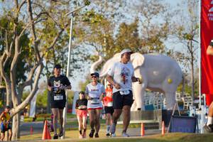 BIB: 
                            <button type="button" onclick="openModal(26188664)" class="btn btn-primary btn-sm float-right btn-popup" data-toggle="modal" data-target=".modal-high-quality">
                        <i class="fas fa-shopping-cart"></i> Add to Cart
                    </button>
                                            <button type="button" onclick="isThisMe(26188664, true)" class="btn btn-success btn-sm float-right btn-popup btn-isme hidden" data-toggle="tooltip" data-placement="bottom" title="นี่คือรูปของคุณใช่ไหม คลิกที่นี่เพื่อเอาเข้าอัลบั้ม">
                        <i class="fas fa-plus"></i> Add to album
                    </button>
                    <button type="button" onclick="isThisMe(26188664, false)" class="btn btn-warning btn-sm float-right btn-popup btn-isnotme hidden">
                        <i class="fas fa-ban"></i> Remove from album
                    </button>