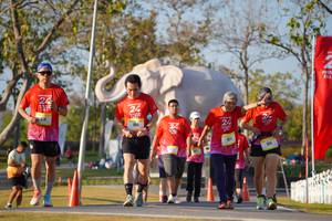 BIB: 
                            <button type="button" onclick="openModal(26187956)" class="btn btn-primary btn-sm float-right btn-popup" data-toggle="modal" data-target=".modal-high-quality">
                        <i class="fas fa-shopping-cart"></i> Add to Cart
                    </button>
                                            <button type="button" onclick="isThisMe(26187956, true)" class="btn btn-success btn-sm float-right btn-popup btn-isme hidden" data-toggle="tooltip" data-placement="bottom" title="นี่คือรูปของคุณใช่ไหม คลิกที่นี่เพื่อเอาเข้าอัลบั้ม">
                        <i class="fas fa-plus"></i> Add to album
                    </button>
                    <button type="button" onclick="isThisMe(26187956, false)" class="btn btn-warning btn-sm float-right btn-popup btn-isnotme hidden">
                        <i class="fas fa-ban"></i> Remove from album
                    </button>