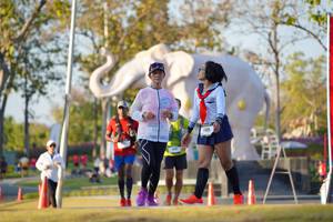 BIB: 
                            <button type="button" onclick="openModal(26188864)" class="btn btn-primary btn-sm float-right btn-popup" data-toggle="modal" data-target=".modal-high-quality">
                        <i class="fas fa-shopping-cart"></i> Add to Cart
                    </button>
                                            <button type="button" onclick="isThisMe(26188864, true)" class="btn btn-success btn-sm float-right btn-popup btn-isme hidden" data-toggle="tooltip" data-placement="bottom" title="นี่คือรูปของคุณใช่ไหม คลิกที่นี่เพื่อเอาเข้าอัลบั้ม">
                        <i class="fas fa-plus"></i> Add to album
                    </button>
                    <button type="button" onclick="isThisMe(26188864, false)" class="btn btn-warning btn-sm float-right btn-popup btn-isnotme hidden">
                        <i class="fas fa-ban"></i> Remove from album
                    </button>