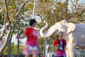 BIB: 
                            <button type="button" onclick="openModal(26189288)" class="btn btn-primary btn-sm float-right btn-popup" data-toggle="modal" data-target=".modal-high-quality">
                        <i class="fas fa-shopping-cart"></i> Add to Cart
                    </button>
                                            <button type="button" onclick="isThisMe(26189288, true)" class="btn btn-success btn-sm float-right btn-popup btn-isme hidden" data-toggle="tooltip" data-placement="bottom" title="นี่คือรูปของคุณใช่ไหม คลิกที่นี่เพื่อเอาเข้าอัลบั้ม">
                        <i class="fas fa-plus"></i> Add to album
                    </button>
                    <button type="button" onclick="isThisMe(26189288, false)" class="btn btn-warning btn-sm float-right btn-popup btn-isnotme hidden">
                        <i class="fas fa-ban"></i> Remove from album
                    </button>