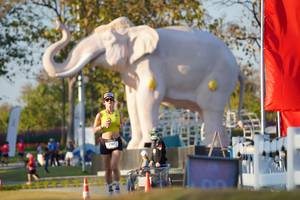 BIB: 
                            <button type="button" onclick="openModal(26188465)" class="btn btn-primary btn-sm float-right btn-popup" data-toggle="modal" data-target=".modal-high-quality">
                        <i class="fas fa-shopping-cart"></i> Add to Cart
                    </button>
                                            <button type="button" onclick="isThisMe(26188465, true)" class="btn btn-success btn-sm float-right btn-popup btn-isme hidden" data-toggle="tooltip" data-placement="bottom" title="นี่คือรูปของคุณใช่ไหม คลิกที่นี่เพื่อเอาเข้าอัลบั้ม">
                        <i class="fas fa-plus"></i> Add to album
                    </button>
                    <button type="button" onclick="isThisMe(26188465, false)" class="btn btn-warning btn-sm float-right btn-popup btn-isnotme hidden">
                        <i class="fas fa-ban"></i> Remove from album
                    </button>