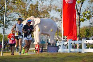 BIB: 
                            <button type="button" onclick="openModal(26188343)" class="btn btn-primary btn-sm float-right btn-popup" data-toggle="modal" data-target=".modal-high-quality">
                        <i class="fas fa-shopping-cart"></i> Add to Cart
                    </button>
                                            <button type="button" onclick="isThisMe(26188343, true)" class="btn btn-success btn-sm float-right btn-popup btn-isme hidden" data-toggle="tooltip" data-placement="bottom" title="นี่คือรูปของคุณใช่ไหม คลิกที่นี่เพื่อเอาเข้าอัลบั้ม">
                        <i class="fas fa-plus"></i> Add to album
                    </button>
                    <button type="button" onclick="isThisMe(26188343, false)" class="btn btn-warning btn-sm float-right btn-popup btn-isnotme hidden">
                        <i class="fas fa-ban"></i> Remove from album
                    </button>