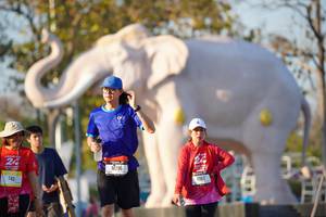 BIB: 
                            <button type="button" onclick="openModal(26189228)" class="btn btn-primary btn-sm float-right btn-popup" data-toggle="modal" data-target=".modal-high-quality">
                        <i class="fas fa-shopping-cart"></i> Add to Cart
                    </button>
                                            <button type="button" onclick="isThisMe(26189228, true)" class="btn btn-success btn-sm float-right btn-popup btn-isme hidden" data-toggle="tooltip" data-placement="bottom" title="นี่คือรูปของคุณใช่ไหม คลิกที่นี่เพื่อเอาเข้าอัลบั้ม">
                        <i class="fas fa-plus"></i> Add to album
                    </button>
                    <button type="button" onclick="isThisMe(26189228, false)" class="btn btn-warning btn-sm float-right btn-popup btn-isnotme hidden">
                        <i class="fas fa-ban"></i> Remove from album
                    </button>