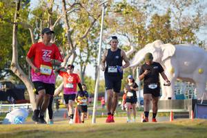 BIB: 
                            <button type="button" onclick="openModal(26188790)" class="btn btn-primary btn-sm float-right btn-popup" data-toggle="modal" data-target=".modal-high-quality">
                        <i class="fas fa-shopping-cart"></i> Add to Cart
                    </button>
                                            <button type="button" onclick="isThisMe(26188790, true)" class="btn btn-success btn-sm float-right btn-popup btn-isme hidden" data-toggle="tooltip" data-placement="bottom" title="นี่คือรูปของคุณใช่ไหม คลิกที่นี่เพื่อเอาเข้าอัลบั้ม">
                        <i class="fas fa-plus"></i> Add to album
                    </button>
                    <button type="button" onclick="isThisMe(26188790, false)" class="btn btn-warning btn-sm float-right btn-popup btn-isnotme hidden">
                        <i class="fas fa-ban"></i> Remove from album
                    </button>