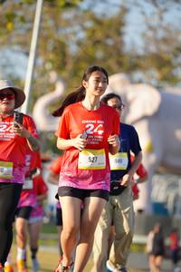 BIB: 
                            <button type="button" onclick="openModal(26188020)" class="btn btn-primary btn-sm float-right btn-popup" data-toggle="modal" data-target=".modal-high-quality">
                        <i class="fas fa-shopping-cart"></i> Add to Cart
                    </button>
                                            <button type="button" onclick="isThisMe(26188020, true)" class="btn btn-success btn-sm float-right btn-popup btn-isme hidden" data-toggle="tooltip" data-placement="bottom" title="นี่คือรูปของคุณใช่ไหม คลิกที่นี่เพื่อเอาเข้าอัลบั้ม">
                        <i class="fas fa-plus"></i> Add to album
                    </button>
                    <button type="button" onclick="isThisMe(26188020, false)" class="btn btn-warning btn-sm float-right btn-popup btn-isnotme hidden">
                        <i class="fas fa-ban"></i> Remove from album
                    </button>