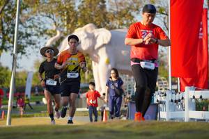 BIB: 
                            <button type="button" onclick="openModal(26188408)" class="btn btn-primary btn-sm float-right btn-popup" data-toggle="modal" data-target=".modal-high-quality">
                        <i class="fas fa-shopping-cart"></i> Add to Cart
                    </button>
                                            <button type="button" onclick="isThisMe(26188408, true)" class="btn btn-success btn-sm float-right btn-popup btn-isme hidden" data-toggle="tooltip" data-placement="bottom" title="นี่คือรูปของคุณใช่ไหม คลิกที่นี่เพื่อเอาเข้าอัลบั้ม">
                        <i class="fas fa-plus"></i> Add to album
                    </button>
                    <button type="button" onclick="isThisMe(26188408, false)" class="btn btn-warning btn-sm float-right btn-popup btn-isnotme hidden">
                        <i class="fas fa-ban"></i> Remove from album
                    </button>