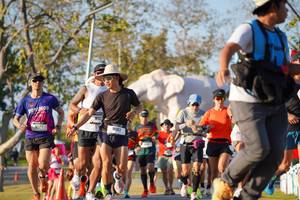 BIB: 
                            <button type="button" onclick="openModal(26187607)" class="btn btn-primary btn-sm float-right btn-popup" data-toggle="modal" data-target=".modal-high-quality">
                        <i class="fas fa-shopping-cart"></i> Add to Cart
                    </button>
                                            <button type="button" onclick="isThisMe(26187607, true)" class="btn btn-success btn-sm float-right btn-popup btn-isme hidden" data-toggle="tooltip" data-placement="bottom" title="นี่คือรูปของคุณใช่ไหม คลิกที่นี่เพื่อเอาเข้าอัลบั้ม">
                        <i class="fas fa-plus"></i> Add to album
                    </button>
                    <button type="button" onclick="isThisMe(26187607, false)" class="btn btn-warning btn-sm float-right btn-popup btn-isnotme hidden">
                        <i class="fas fa-ban"></i> Remove from album
                    </button>