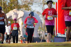 BIB: 
                            <button type="button" onclick="openModal(26189122)" class="btn btn-primary btn-sm float-right btn-popup" data-toggle="modal" data-target=".modal-high-quality">
                        <i class="fas fa-shopping-cart"></i> Add to Cart
                    </button>
                                            <button type="button" onclick="isThisMe(26189122, true)" class="btn btn-success btn-sm float-right btn-popup btn-isme hidden" data-toggle="tooltip" data-placement="bottom" title="นี่คือรูปของคุณใช่ไหม คลิกที่นี่เพื่อเอาเข้าอัลบั้ม">
                        <i class="fas fa-plus"></i> Add to album
                    </button>
                    <button type="button" onclick="isThisMe(26189122, false)" class="btn btn-warning btn-sm float-right btn-popup btn-isnotme hidden">
                        <i class="fas fa-ban"></i> Remove from album
                    </button>