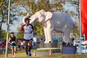 BIB: 
                            <button type="button" onclick="openModal(26188228)" class="btn btn-primary btn-sm float-right btn-popup" data-toggle="modal" data-target=".modal-high-quality">
                        <i class="fas fa-shopping-cart"></i> Add to Cart
                    </button>
                                            <button type="button" onclick="isThisMe(26188228, true)" class="btn btn-success btn-sm float-right btn-popup btn-isme hidden" data-toggle="tooltip" data-placement="bottom" title="นี่คือรูปของคุณใช่ไหม คลิกที่นี่เพื่อเอาเข้าอัลบั้ม">
                        <i class="fas fa-plus"></i> Add to album
                    </button>
                    <button type="button" onclick="isThisMe(26188228, false)" class="btn btn-warning btn-sm float-right btn-popup btn-isnotme hidden">
                        <i class="fas fa-ban"></i> Remove from album
                    </button>