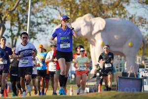 BIB: 
                            <button type="button" onclick="openModal(26188487)" class="btn btn-primary btn-sm float-right btn-popup" data-toggle="modal" data-target=".modal-high-quality">
                        <i class="fas fa-shopping-cart"></i> Add to Cart
                    </button>
                                            <button type="button" onclick="isThisMe(26188487, true)" class="btn btn-success btn-sm float-right btn-popup btn-isme hidden" data-toggle="tooltip" data-placement="bottom" title="นี่คือรูปของคุณใช่ไหม คลิกที่นี่เพื่อเอาเข้าอัลบั้ม">
                        <i class="fas fa-plus"></i> Add to album
                    </button>
                    <button type="button" onclick="isThisMe(26188487, false)" class="btn btn-warning btn-sm float-right btn-popup btn-isnotme hidden">
                        <i class="fas fa-ban"></i> Remove from album
                    </button>