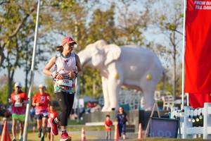 BIB: 
                            <button type="button" onclick="openModal(26188377)" class="btn btn-primary btn-sm float-right btn-popup" data-toggle="modal" data-target=".modal-high-quality">
                        <i class="fas fa-shopping-cart"></i> Add to Cart
                    </button>
                                            <button type="button" onclick="isThisMe(26188377, true)" class="btn btn-success btn-sm float-right btn-popup btn-isme hidden" data-toggle="tooltip" data-placement="bottom" title="นี่คือรูปของคุณใช่ไหม คลิกที่นี่เพื่อเอาเข้าอัลบั้ม">
                        <i class="fas fa-plus"></i> Add to album
                    </button>
                    <button type="button" onclick="isThisMe(26188377, false)" class="btn btn-warning btn-sm float-right btn-popup btn-isnotme hidden">
                        <i class="fas fa-ban"></i> Remove from album
                    </button>