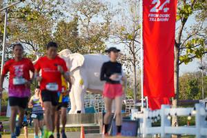 BIB: 
                            <button type="button" onclick="openModal(26188701)" class="btn btn-primary btn-sm float-right btn-popup" data-toggle="modal" data-target=".modal-high-quality">
                        <i class="fas fa-shopping-cart"></i> Add to Cart
                    </button>
                                            <button type="button" onclick="isThisMe(26188701, true)" class="btn btn-success btn-sm float-right btn-popup btn-isme hidden" data-toggle="tooltip" data-placement="bottom" title="นี่คือรูปของคุณใช่ไหม คลิกที่นี่เพื่อเอาเข้าอัลบั้ม">
                        <i class="fas fa-plus"></i> Add to album
                    </button>
                    <button type="button" onclick="isThisMe(26188701, false)" class="btn btn-warning btn-sm float-right btn-popup btn-isnotme hidden">
                        <i class="fas fa-ban"></i> Remove from album
                    </button>