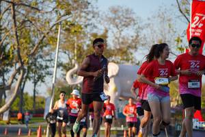 BIB: 
                            <button type="button" onclick="openModal(26189335)" class="btn btn-primary btn-sm float-right btn-popup" data-toggle="modal" data-target=".modal-high-quality">
                        <i class="fas fa-shopping-cart"></i> Add to Cart
                    </button>
                                            <button type="button" onclick="isThisMe(26189335, true)" class="btn btn-success btn-sm float-right btn-popup btn-isme hidden" data-toggle="tooltip" data-placement="bottom" title="นี่คือรูปของคุณใช่ไหม คลิกที่นี่เพื่อเอาเข้าอัลบั้ม">
                        <i class="fas fa-plus"></i> Add to album
                    </button>
                    <button type="button" onclick="isThisMe(26189335, false)" class="btn btn-warning btn-sm float-right btn-popup btn-isnotme hidden">
                        <i class="fas fa-ban"></i> Remove from album
                    </button>