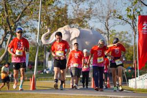 BIB: 
                            <button type="button" onclick="openModal(26187954)" class="btn btn-primary btn-sm float-right btn-popup" data-toggle="modal" data-target=".modal-high-quality">
                        <i class="fas fa-shopping-cart"></i> Add to Cart
                    </button>
                                            <button type="button" onclick="isThisMe(26187954, true)" class="btn btn-success btn-sm float-right btn-popup btn-isme hidden" data-toggle="tooltip" data-placement="bottom" title="นี่คือรูปของคุณใช่ไหม คลิกที่นี่เพื่อเอาเข้าอัลบั้ม">
                        <i class="fas fa-plus"></i> Add to album
                    </button>
                    <button type="button" onclick="isThisMe(26187954, false)" class="btn btn-warning btn-sm float-right btn-popup btn-isnotme hidden">
                        <i class="fas fa-ban"></i> Remove from album
                    </button>