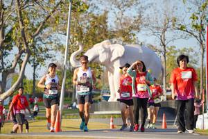 BIB: 
                            <button type="button" onclick="openModal(26187932)" class="btn btn-primary btn-sm float-right btn-popup" data-toggle="modal" data-target=".modal-high-quality">
                        <i class="fas fa-shopping-cart"></i> Add to Cart
                    </button>
                                            <button type="button" onclick="isThisMe(26187932, true)" class="btn btn-success btn-sm float-right btn-popup btn-isme hidden" data-toggle="tooltip" data-placement="bottom" title="นี่คือรูปของคุณใช่ไหม คลิกที่นี่เพื่อเอาเข้าอัลบั้ม">
                        <i class="fas fa-plus"></i> Add to album
                    </button>
                    <button type="button" onclick="isThisMe(26187932, false)" class="btn btn-warning btn-sm float-right btn-popup btn-isnotme hidden">
                        <i class="fas fa-ban"></i> Remove from album
                    </button>