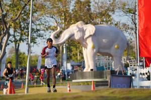 BIB: 
                            <button type="button" onclick="openModal(26188225)" class="btn btn-primary btn-sm float-right btn-popup" data-toggle="modal" data-target=".modal-high-quality">
                        <i class="fas fa-shopping-cart"></i> Add to Cart
                    </button>
                                            <button type="button" onclick="isThisMe(26188225, true)" class="btn btn-success btn-sm float-right btn-popup btn-isme hidden" data-toggle="tooltip" data-placement="bottom" title="นี่คือรูปของคุณใช่ไหม คลิกที่นี่เพื่อเอาเข้าอัลบั้ม">
                        <i class="fas fa-plus"></i> Add to album
                    </button>
                    <button type="button" onclick="isThisMe(26188225, false)" class="btn btn-warning btn-sm float-right btn-popup btn-isnotme hidden">
                        <i class="fas fa-ban"></i> Remove from album
                    </button>