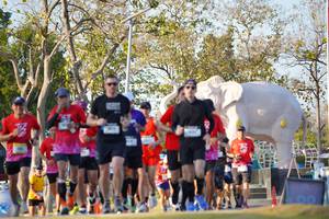 BIB: 
                            <button type="button" onclick="openModal(26188606)" class="btn btn-primary btn-sm float-right btn-popup" data-toggle="modal" data-target=".modal-high-quality">
                        <i class="fas fa-shopping-cart"></i> Add to Cart
                    </button>
                                            <button type="button" onclick="isThisMe(26188606, true)" class="btn btn-success btn-sm float-right btn-popup btn-isme hidden" data-toggle="tooltip" data-placement="bottom" title="นี่คือรูปของคุณใช่ไหม คลิกที่นี่เพื่อเอาเข้าอัลบั้ม">
                        <i class="fas fa-plus"></i> Add to album
                    </button>
                    <button type="button" onclick="isThisMe(26188606, false)" class="btn btn-warning btn-sm float-right btn-popup btn-isnotme hidden">
                        <i class="fas fa-ban"></i> Remove from album
                    </button>