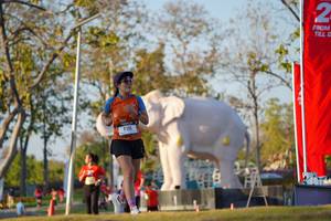 BIB: 
                            <button type="button" onclick="openModal(26189193)" class="btn btn-primary btn-sm float-right btn-popup" data-toggle="modal" data-target=".modal-high-quality">
                        <i class="fas fa-shopping-cart"></i> Add to Cart
                    </button>
                                            <button type="button" onclick="isThisMe(26189193, true)" class="btn btn-success btn-sm float-right btn-popup btn-isme hidden" data-toggle="tooltip" data-placement="bottom" title="นี่คือรูปของคุณใช่ไหม คลิกที่นี่เพื่อเอาเข้าอัลบั้ม">
                        <i class="fas fa-plus"></i> Add to album
                    </button>
                    <button type="button" onclick="isThisMe(26189193, false)" class="btn btn-warning btn-sm float-right btn-popup btn-isnotme hidden">
                        <i class="fas fa-ban"></i> Remove from album
                    </button>