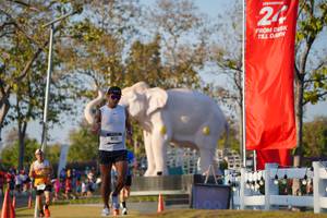 BIB: 
                            <button type="button" onclick="openModal(26188170)" class="btn btn-primary btn-sm float-right btn-popup" data-toggle="modal" data-target=".modal-high-quality">
                        <i class="fas fa-shopping-cart"></i> Add to Cart
                    </button>
                                            <button type="button" onclick="isThisMe(26188170, true)" class="btn btn-success btn-sm float-right btn-popup btn-isme hidden" data-toggle="tooltip" data-placement="bottom" title="นี่คือรูปของคุณใช่ไหม คลิกที่นี่เพื่อเอาเข้าอัลบั้ม">
                        <i class="fas fa-plus"></i> Add to album
                    </button>
                    <button type="button" onclick="isThisMe(26188170, false)" class="btn btn-warning btn-sm float-right btn-popup btn-isnotme hidden">
                        <i class="fas fa-ban"></i> Remove from album
                    </button>