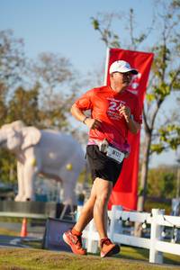 BIB: 
                            <button type="button" onclick="openModal(26188104)" class="btn btn-primary btn-sm float-right btn-popup" data-toggle="modal" data-target=".modal-high-quality">
                        <i class="fas fa-shopping-cart"></i> Add to Cart
                    </button>
                                            <button type="button" onclick="isThisMe(26188104, true)" class="btn btn-success btn-sm float-right btn-popup btn-isme hidden" data-toggle="tooltip" data-placement="bottom" title="นี่คือรูปของคุณใช่ไหม คลิกที่นี่เพื่อเอาเข้าอัลบั้ม">
                        <i class="fas fa-plus"></i> Add to album
                    </button>
                    <button type="button" onclick="isThisMe(26188104, false)" class="btn btn-warning btn-sm float-right btn-popup btn-isnotme hidden">
                        <i class="fas fa-ban"></i> Remove from album
                    </button>