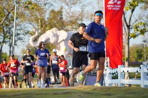 BIB: 
                            <button type="button" onclick="openModal(26188583)" class="btn btn-primary btn-sm float-right btn-popup" data-toggle="modal" data-target=".modal-high-quality">
                        <i class="fas fa-shopping-cart"></i> Add to Cart
                    </button>
                                            <button type="button" onclick="isThisMe(26188583, true)" class="btn btn-success btn-sm float-right btn-popup btn-isme hidden" data-toggle="tooltip" data-placement="bottom" title="นี่คือรูปของคุณใช่ไหม คลิกที่นี่เพื่อเอาเข้าอัลบั้ม">
                        <i class="fas fa-plus"></i> Add to album
                    </button>
                    <button type="button" onclick="isThisMe(26188583, false)" class="btn btn-warning btn-sm float-right btn-popup btn-isnotme hidden">
                        <i class="fas fa-ban"></i> Remove from album
                    </button>