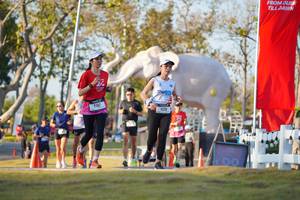 BIB: 
                            <button type="button" onclick="openModal(26188541)" class="btn btn-primary btn-sm float-right btn-popup" data-toggle="modal" data-target=".modal-high-quality">
                        <i class="fas fa-shopping-cart"></i> Add to Cart
                    </button>
                                            <button type="button" onclick="isThisMe(26188541, true)" class="btn btn-success btn-sm float-right btn-popup btn-isme hidden" data-toggle="tooltip" data-placement="bottom" title="นี่คือรูปของคุณใช่ไหม คลิกที่นี่เพื่อเอาเข้าอัลบั้ม">
                        <i class="fas fa-plus"></i> Add to album
                    </button>
                    <button type="button" onclick="isThisMe(26188541, false)" class="btn btn-warning btn-sm float-right btn-popup btn-isnotme hidden">
                        <i class="fas fa-ban"></i> Remove from album
                    </button>