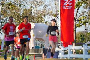 BIB: 
                            <button type="button" onclick="openModal(26188704)" class="btn btn-primary btn-sm float-right btn-popup" data-toggle="modal" data-target=".modal-high-quality">
                        <i class="fas fa-shopping-cart"></i> Add to Cart
                    </button>
                                            <button type="button" onclick="isThisMe(26188704, true)" class="btn btn-success btn-sm float-right btn-popup btn-isme hidden" data-toggle="tooltip" data-placement="bottom" title="นี่คือรูปของคุณใช่ไหม คลิกที่นี่เพื่อเอาเข้าอัลบั้ม">
                        <i class="fas fa-plus"></i> Add to album
                    </button>
                    <button type="button" onclick="isThisMe(26188704, false)" class="btn btn-warning btn-sm float-right btn-popup btn-isnotme hidden">
                        <i class="fas fa-ban"></i> Remove from album
                    </button>