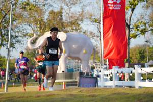 BIB: 
                            <button type="button" onclick="openModal(26188246)" class="btn btn-primary btn-sm float-right btn-popup" data-toggle="modal" data-target=".modal-high-quality">
                        <i class="fas fa-shopping-cart"></i> Add to Cart
                    </button>
                                            <button type="button" onclick="isThisMe(26188246, true)" class="btn btn-success btn-sm float-right btn-popup btn-isme hidden" data-toggle="tooltip" data-placement="bottom" title="นี่คือรูปของคุณใช่ไหม คลิกที่นี่เพื่อเอาเข้าอัลบั้ม">
                        <i class="fas fa-plus"></i> Add to album
                    </button>
                    <button type="button" onclick="isThisMe(26188246, false)" class="btn btn-warning btn-sm float-right btn-popup btn-isnotme hidden">
                        <i class="fas fa-ban"></i> Remove from album
                    </button>