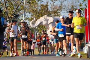 BIB: 
                            <button type="button" onclick="openModal(26187603)" class="btn btn-primary btn-sm float-right btn-popup" data-toggle="modal" data-target=".modal-high-quality">
                        <i class="fas fa-shopping-cart"></i> Add to Cart
                    </button>
                                            <button type="button" onclick="isThisMe(26187603, true)" class="btn btn-success btn-sm float-right btn-popup btn-isme hidden" data-toggle="tooltip" data-placement="bottom" title="นี่คือรูปของคุณใช่ไหม คลิกที่นี่เพื่อเอาเข้าอัลบั้ม">
                        <i class="fas fa-plus"></i> Add to album
                    </button>
                    <button type="button" onclick="isThisMe(26187603, false)" class="btn btn-warning btn-sm float-right btn-popup btn-isnotme hidden">
                        <i class="fas fa-ban"></i> Remove from album
                    </button>