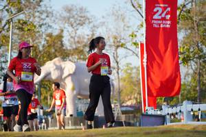 BIB: 
                            <button type="button" onclick="openModal(26189209)" class="btn btn-primary btn-sm float-right btn-popup" data-toggle="modal" data-target=".modal-high-quality">
                        <i class="fas fa-shopping-cart"></i> Add to Cart
                    </button>
                                            <button type="button" onclick="isThisMe(26189209, true)" class="btn btn-success btn-sm float-right btn-popup btn-isme hidden" data-toggle="tooltip" data-placement="bottom" title="นี่คือรูปของคุณใช่ไหม คลิกที่นี่เพื่อเอาเข้าอัลบั้ม">
                        <i class="fas fa-plus"></i> Add to album
                    </button>
                    <button type="button" onclick="isThisMe(26189209, false)" class="btn btn-warning btn-sm float-right btn-popup btn-isnotme hidden">
                        <i class="fas fa-ban"></i> Remove from album
                    </button>