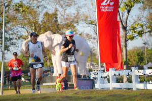 BIB: 
                            <button type="button" onclick="openModal(26188348)" class="btn btn-primary btn-sm float-right btn-popup" data-toggle="modal" data-target=".modal-high-quality">
                        <i class="fas fa-shopping-cart"></i> Add to Cart
                    </button>
                                            <button type="button" onclick="isThisMe(26188348, true)" class="btn btn-success btn-sm float-right btn-popup btn-isme hidden" data-toggle="tooltip" data-placement="bottom" title="นี่คือรูปของคุณใช่ไหม คลิกที่นี่เพื่อเอาเข้าอัลบั้ม">
                        <i class="fas fa-plus"></i> Add to album
                    </button>
                    <button type="button" onclick="isThisMe(26188348, false)" class="btn btn-warning btn-sm float-right btn-popup btn-isnotme hidden">
                        <i class="fas fa-ban"></i> Remove from album
                    </button>