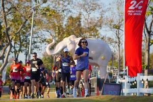 BIB: 
                            <button type="button" onclick="openModal(26188586)" class="btn btn-primary btn-sm float-right btn-popup" data-toggle="modal" data-target=".modal-high-quality">
                        <i class="fas fa-shopping-cart"></i> Add to Cart
                    </button>
                                            <button type="button" onclick="isThisMe(26188586, true)" class="btn btn-success btn-sm float-right btn-popup btn-isme hidden" data-toggle="tooltip" data-placement="bottom" title="นี่คือรูปของคุณใช่ไหม คลิกที่นี่เพื่อเอาเข้าอัลบั้ม">
                        <i class="fas fa-plus"></i> Add to album
                    </button>
                    <button type="button" onclick="isThisMe(26188586, false)" class="btn btn-warning btn-sm float-right btn-popup btn-isnotme hidden">
                        <i class="fas fa-ban"></i> Remove from album
                    </button>