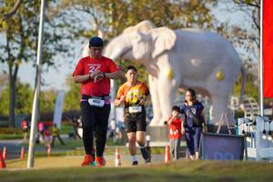 BIB: 
                            <button type="button" onclick="openModal(26188403)" class="btn btn-primary btn-sm float-right btn-popup" data-toggle="modal" data-target=".modal-high-quality">
                        <i class="fas fa-shopping-cart"></i> Add to Cart
                    </button>
                                            <button type="button" onclick="isThisMe(26188403, true)" class="btn btn-success btn-sm float-right btn-popup btn-isme hidden" data-toggle="tooltip" data-placement="bottom" title="นี่คือรูปของคุณใช่ไหม คลิกที่นี่เพื่อเอาเข้าอัลบั้ม">
                        <i class="fas fa-plus"></i> Add to album
                    </button>
                    <button type="button" onclick="isThisMe(26188403, false)" class="btn btn-warning btn-sm float-right btn-popup btn-isnotme hidden">
                        <i class="fas fa-ban"></i> Remove from album
                    </button>