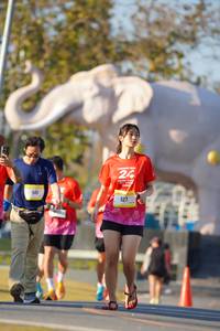 BIB: 
                            <button type="button" onclick="openModal(26188005)" class="btn btn-primary btn-sm float-right btn-popup" data-toggle="modal" data-target=".modal-high-quality">
                        <i class="fas fa-shopping-cart"></i> Add to Cart
                    </button>
                                            <button type="button" onclick="isThisMe(26188005, true)" class="btn btn-success btn-sm float-right btn-popup btn-isme hidden" data-toggle="tooltip" data-placement="bottom" title="นี่คือรูปของคุณใช่ไหม คลิกที่นี่เพื่อเอาเข้าอัลบั้ม">
                        <i class="fas fa-plus"></i> Add to album
                    </button>
                    <button type="button" onclick="isThisMe(26188005, false)" class="btn btn-warning btn-sm float-right btn-popup btn-isnotme hidden">
                        <i class="fas fa-ban"></i> Remove from album
                    </button>