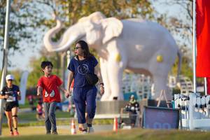 BIB: 
                            <button type="button" onclick="openModal(26188439)" class="btn btn-primary btn-sm float-right btn-popup" data-toggle="modal" data-target=".modal-high-quality">
                        <i class="fas fa-shopping-cart"></i> Add to Cart
                    </button>
                                            <button type="button" onclick="isThisMe(26188439, true)" class="btn btn-success btn-sm float-right btn-popup btn-isme hidden" data-toggle="tooltip" data-placement="bottom" title="นี่คือรูปของคุณใช่ไหม คลิกที่นี่เพื่อเอาเข้าอัลบั้ม">
                        <i class="fas fa-plus"></i> Add to album
                    </button>
                    <button type="button" onclick="isThisMe(26188439, false)" class="btn btn-warning btn-sm float-right btn-popup btn-isnotme hidden">
                        <i class="fas fa-ban"></i> Remove from album
                    </button>