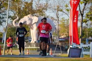 BIB: 
                            <button type="button" onclick="openModal(26189361)" class="btn btn-primary btn-sm float-right btn-popup" data-toggle="modal" data-target=".modal-high-quality">
                        <i class="fas fa-shopping-cart"></i> Add to Cart
                    </button>
                                            <button type="button" onclick="isThisMe(26189361, true)" class="btn btn-success btn-sm float-right btn-popup btn-isme hidden" data-toggle="tooltip" data-placement="bottom" title="นี่คือรูปของคุณใช่ไหม คลิกที่นี่เพื่อเอาเข้าอัลบั้ม">
                        <i class="fas fa-plus"></i> Add to album
                    </button>
                    <button type="button" onclick="isThisMe(26189361, false)" class="btn btn-warning btn-sm float-right btn-popup btn-isnotme hidden">
                        <i class="fas fa-ban"></i> Remove from album
                    </button>