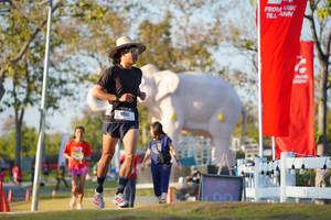 BIB: 
                            <button type="button" onclick="openModal(26188420)" class="btn btn-primary btn-sm float-right btn-popup" data-toggle="modal" data-target=".modal-high-quality">
                        <i class="fas fa-shopping-cart"></i> Add to Cart
                    </button>
                                            <button type="button" onclick="isThisMe(26188420, true)" class="btn btn-success btn-sm float-right btn-popup btn-isme hidden" data-toggle="tooltip" data-placement="bottom" title="นี่คือรูปของคุณใช่ไหม คลิกที่นี่เพื่อเอาเข้าอัลบั้ม">
                        <i class="fas fa-plus"></i> Add to album
                    </button>
                    <button type="button" onclick="isThisMe(26188420, false)" class="btn btn-warning btn-sm float-right btn-popup btn-isnotme hidden">
                        <i class="fas fa-ban"></i> Remove from album
                    </button>