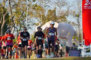 BIB: 
                            <button type="button" onclick="openModal(26188591)" class="btn btn-primary btn-sm float-right btn-popup" data-toggle="modal" data-target=".modal-high-quality">
                        <i class="fas fa-shopping-cart"></i> Add to Cart
                    </button>
                                            <button type="button" onclick="isThisMe(26188591, true)" class="btn btn-success btn-sm float-right btn-popup btn-isme hidden" data-toggle="tooltip" data-placement="bottom" title="นี่คือรูปของคุณใช่ไหม คลิกที่นี่เพื่อเอาเข้าอัลบั้ม">
                        <i class="fas fa-plus"></i> Add to album
                    </button>
                    <button type="button" onclick="isThisMe(26188591, false)" class="btn btn-warning btn-sm float-right btn-popup btn-isnotme hidden">
                        <i class="fas fa-ban"></i> Remove from album
                    </button>