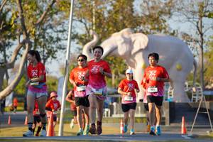 BIB: 
                            <button type="button" onclick="openModal(26189306)" class="btn btn-primary btn-sm float-right btn-popup" data-toggle="modal" data-target=".modal-high-quality">
                        <i class="fas fa-shopping-cart"></i> Add to Cart
                    </button>
                                            <button type="button" onclick="isThisMe(26189306, true)" class="btn btn-success btn-sm float-right btn-popup btn-isme hidden" data-toggle="tooltip" data-placement="bottom" title="นี่คือรูปของคุณใช่ไหม คลิกที่นี่เพื่อเอาเข้าอัลบั้ม">
                        <i class="fas fa-plus"></i> Add to album
                    </button>
                    <button type="button" onclick="isThisMe(26189306, false)" class="btn btn-warning btn-sm float-right btn-popup btn-isnotme hidden">
                        <i class="fas fa-ban"></i> Remove from album
                    </button>