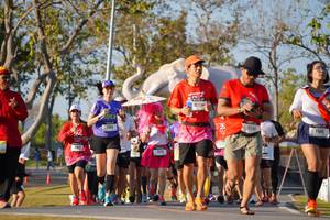 BIB: 
                            <button type="button" onclick="openModal(26187635)" class="btn btn-primary btn-sm float-right btn-popup" data-toggle="modal" data-target=".modal-high-quality">
                        <i class="fas fa-shopping-cart"></i> Add to Cart
                    </button>
                                            <button type="button" onclick="isThisMe(26187635, true)" class="btn btn-success btn-sm float-right btn-popup btn-isme hidden" data-toggle="tooltip" data-placement="bottom" title="นี่คือรูปของคุณใช่ไหม คลิกที่นี่เพื่อเอาเข้าอัลบั้ม">
                        <i class="fas fa-plus"></i> Add to album
                    </button>
                    <button type="button" onclick="isThisMe(26187635, false)" class="btn btn-warning btn-sm float-right btn-popup btn-isnotme hidden">
                        <i class="fas fa-ban"></i> Remove from album
                    </button>