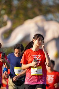 BIB: 
                            <button type="button" onclick="openModal(26188008)" class="btn btn-primary btn-sm float-right btn-popup" data-toggle="modal" data-target=".modal-high-quality">
                        <i class="fas fa-shopping-cart"></i> Add to Cart
                    </button>
                                            <button type="button" onclick="isThisMe(26188008, true)" class="btn btn-success btn-sm float-right btn-popup btn-isme hidden" data-toggle="tooltip" data-placement="bottom" title="นี่คือรูปของคุณใช่ไหม คลิกที่นี่เพื่อเอาเข้าอัลบั้ม">
                        <i class="fas fa-plus"></i> Add to album
                    </button>
                    <button type="button" onclick="isThisMe(26188008, false)" class="btn btn-warning btn-sm float-right btn-popup btn-isnotme hidden">
                        <i class="fas fa-ban"></i> Remove from album
                    </button>