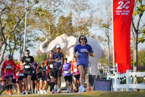 BIB: 
                            <button type="button" onclick="openModal(26188589)" class="btn btn-primary btn-sm float-right btn-popup" data-toggle="modal" data-target=".modal-high-quality">
                        <i class="fas fa-shopping-cart"></i> Add to Cart
                    </button>
                                            <button type="button" onclick="isThisMe(26188589, true)" class="btn btn-success btn-sm float-right btn-popup btn-isme hidden" data-toggle="tooltip" data-placement="bottom" title="นี่คือรูปของคุณใช่ไหม คลิกที่นี่เพื่อเอาเข้าอัลบั้ม">
                        <i class="fas fa-plus"></i> Add to album
                    </button>
                    <button type="button" onclick="isThisMe(26188589, false)" class="btn btn-warning btn-sm float-right btn-popup btn-isnotme hidden">
                        <i class="fas fa-ban"></i> Remove from album
                    </button>