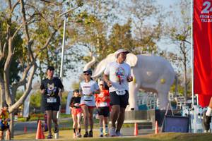 BIB: 
                            <button type="button" onclick="openModal(26188665)" class="btn btn-primary btn-sm float-right btn-popup" data-toggle="modal" data-target=".modal-high-quality">
                        <i class="fas fa-shopping-cart"></i> Add to Cart
                    </button>
                                            <button type="button" onclick="isThisMe(26188665, true)" class="btn btn-success btn-sm float-right btn-popup btn-isme hidden" data-toggle="tooltip" data-placement="bottom" title="นี่คือรูปของคุณใช่ไหม คลิกที่นี่เพื่อเอาเข้าอัลบั้ม">
                        <i class="fas fa-plus"></i> Add to album
                    </button>
                    <button type="button" onclick="isThisMe(26188665, false)" class="btn btn-warning btn-sm float-right btn-popup btn-isnotme hidden">
                        <i class="fas fa-ban"></i> Remove from album
                    </button>