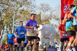 BIB: 
                            <button type="button" onclick="openModal(26188518)" class="btn btn-primary btn-sm float-right btn-popup" data-toggle="modal" data-target=".modal-high-quality">
                        <i class="fas fa-shopping-cart"></i> Add to Cart
                    </button>
                                            <button type="button" onclick="isThisMe(26188518, true)" class="btn btn-success btn-sm float-right btn-popup btn-isme hidden" data-toggle="tooltip" data-placement="bottom" title="นี่คือรูปของคุณใช่ไหม คลิกที่นี่เพื่อเอาเข้าอัลบั้ม">
                        <i class="fas fa-plus"></i> Add to album
                    </button>
                    <button type="button" onclick="isThisMe(26188518, false)" class="btn btn-warning btn-sm float-right btn-popup btn-isnotme hidden">
                        <i class="fas fa-ban"></i> Remove from album
                    </button>