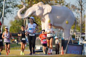 BIB: 
                            <button type="button" onclick="openModal(26188528)" class="btn btn-primary btn-sm float-right btn-popup" data-toggle="modal" data-target=".modal-high-quality">
                        <i class="fas fa-shopping-cart"></i> Add to Cart
                    </button>
                                            <button type="button" onclick="isThisMe(26188528, true)" class="btn btn-success btn-sm float-right btn-popup btn-isme hidden" data-toggle="tooltip" data-placement="bottom" title="นี่คือรูปของคุณใช่ไหม คลิกที่นี่เพื่อเอาเข้าอัลบั้ม">
                        <i class="fas fa-plus"></i> Add to album
                    </button>
                    <button type="button" onclick="isThisMe(26188528, false)" class="btn btn-warning btn-sm float-right btn-popup btn-isnotme hidden">
                        <i class="fas fa-ban"></i> Remove from album
                    </button>