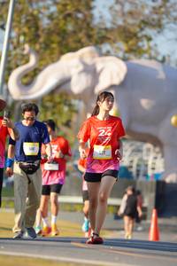 BIB: 
                            <button type="button" onclick="openModal(26188006)" class="btn btn-primary btn-sm float-right btn-popup" data-toggle="modal" data-target=".modal-high-quality">
                        <i class="fas fa-shopping-cart"></i> Add to Cart
                    </button>
                                            <button type="button" onclick="isThisMe(26188006, true)" class="btn btn-success btn-sm float-right btn-popup btn-isme hidden" data-toggle="tooltip" data-placement="bottom" title="นี่คือรูปของคุณใช่ไหม คลิกที่นี่เพื่อเอาเข้าอัลบั้ม">
                        <i class="fas fa-plus"></i> Add to album
                    </button>
                    <button type="button" onclick="isThisMe(26188006, false)" class="btn btn-warning btn-sm float-right btn-popup btn-isnotme hidden">
                        <i class="fas fa-ban"></i> Remove from album
                    </button>