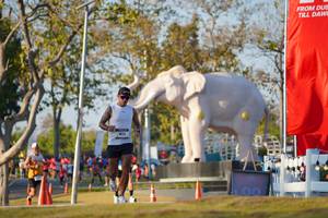 BIB: 
                            <button type="button" onclick="openModal(26188169)" class="btn btn-primary btn-sm float-right btn-popup" data-toggle="modal" data-target=".modal-high-quality">
                        <i class="fas fa-shopping-cart"></i> Add to Cart
                    </button>
                                            <button type="button" onclick="isThisMe(26188169, true)" class="btn btn-success btn-sm float-right btn-popup btn-isme hidden" data-toggle="tooltip" data-placement="bottom" title="นี่คือรูปของคุณใช่ไหม คลิกที่นี่เพื่อเอาเข้าอัลบั้ม">
                        <i class="fas fa-plus"></i> Add to album
                    </button>
                    <button type="button" onclick="isThisMe(26188169, false)" class="btn btn-warning btn-sm float-right btn-popup btn-isnotme hidden">
                        <i class="fas fa-ban"></i> Remove from album
                    </button>