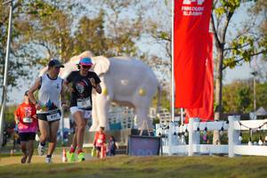 BIB: 
                            <button type="button" onclick="openModal(26188344)" class="btn btn-primary btn-sm float-right btn-popup" data-toggle="modal" data-target=".modal-high-quality">
                        <i class="fas fa-shopping-cart"></i> Add to Cart
                    </button>
                                            <button type="button" onclick="isThisMe(26188344, true)" class="btn btn-success btn-sm float-right btn-popup btn-isme hidden" data-toggle="tooltip" data-placement="bottom" title="นี่คือรูปของคุณใช่ไหม คลิกที่นี่เพื่อเอาเข้าอัลบั้ม">
                        <i class="fas fa-plus"></i> Add to album
                    </button>
                    <button type="button" onclick="isThisMe(26188344, false)" class="btn btn-warning btn-sm float-right btn-popup btn-isnotme hidden">
                        <i class="fas fa-ban"></i> Remove from album
                    </button>