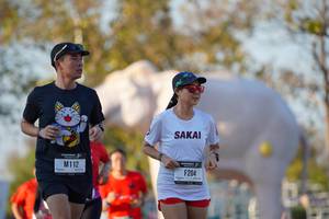 BIB: 
                            <button type="button" onclick="openModal(26188670)" class="btn btn-primary btn-sm float-right btn-popup" data-toggle="modal" data-target=".modal-high-quality">
                        <i class="fas fa-shopping-cart"></i> Add to Cart
                    </button>
                                            <button type="button" onclick="isThisMe(26188670, true)" class="btn btn-success btn-sm float-right btn-popup btn-isme hidden" data-toggle="tooltip" data-placement="bottom" title="นี่คือรูปของคุณใช่ไหม คลิกที่นี่เพื่อเอาเข้าอัลบั้ม">
                        <i class="fas fa-plus"></i> Add to album
                    </button>
                    <button type="button" onclick="isThisMe(26188670, false)" class="btn btn-warning btn-sm float-right btn-popup btn-isnotme hidden">
                        <i class="fas fa-ban"></i> Remove from album
                    </button>